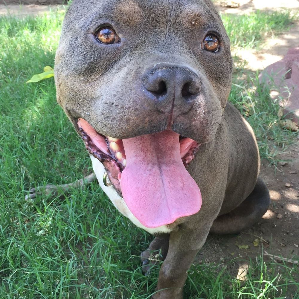 Meet your Posher, Linney